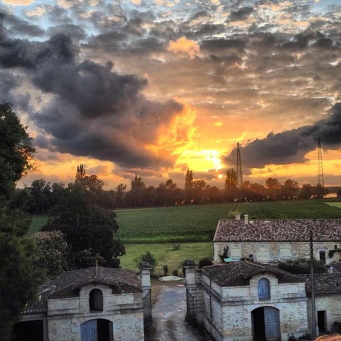 Chateau Couffins Asques Exterior foto